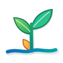 Seedbed